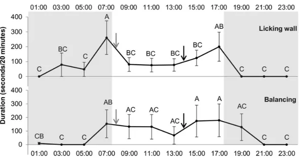 Figure 4 Duration of licking wall and balancing (stereotypy) (in seconds/20 min) for each hour