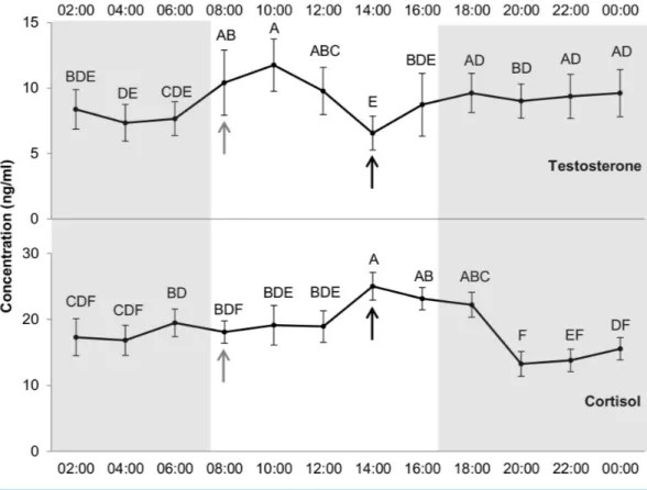 Figure 6 Levels of testosterone and cortisol (ng/ml) per hour. Grey and white backgrounds represent