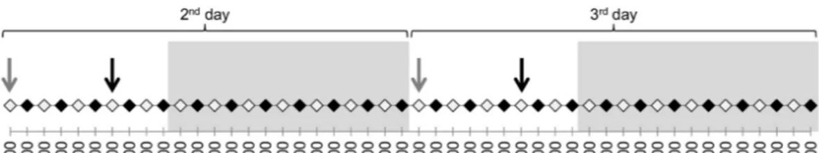 Figure 1 Protocol of the experiment on days 2 and 3 (16th and 17th of December). The black dots rep-