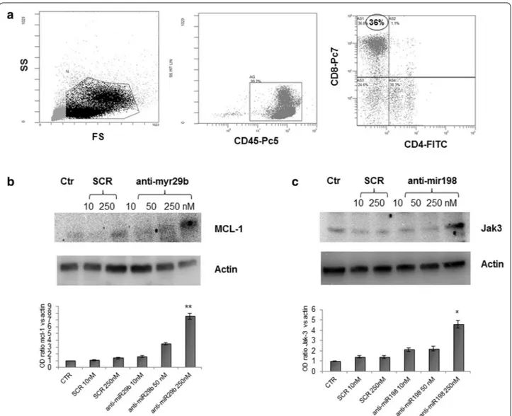 Fig. 6  Transfection with specific Anti-hsa-miR inhibitors upregulate MCL-1 and JAK3 protein expression and rescues the cells from apoptosis