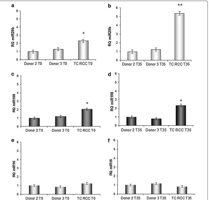 Fig. 4 CD8 +  T cells isolated from RCC patient TC express elevated levels of miR-29b and miR-198 when compared to normal donor T cells