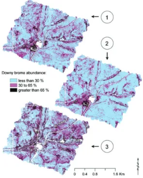 Figure 1. Maps of downy brome Bromus tectorum abundance predicted by the analysis of three different datasets derived from the air-borne hyperspectral Advanced Visible Infrared Imaging Spectrometer (AVIRIS): (1) Multi-temporal spectral stack; (2) July 2000
