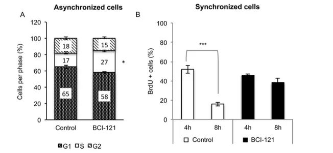 Fig. 8. SMYD3 regulates S/G2 transition in cancer cells. (A) SMYD3 inhibition affects cell cycle progression in HT29 cells with a significant increase in the S-phase fraction