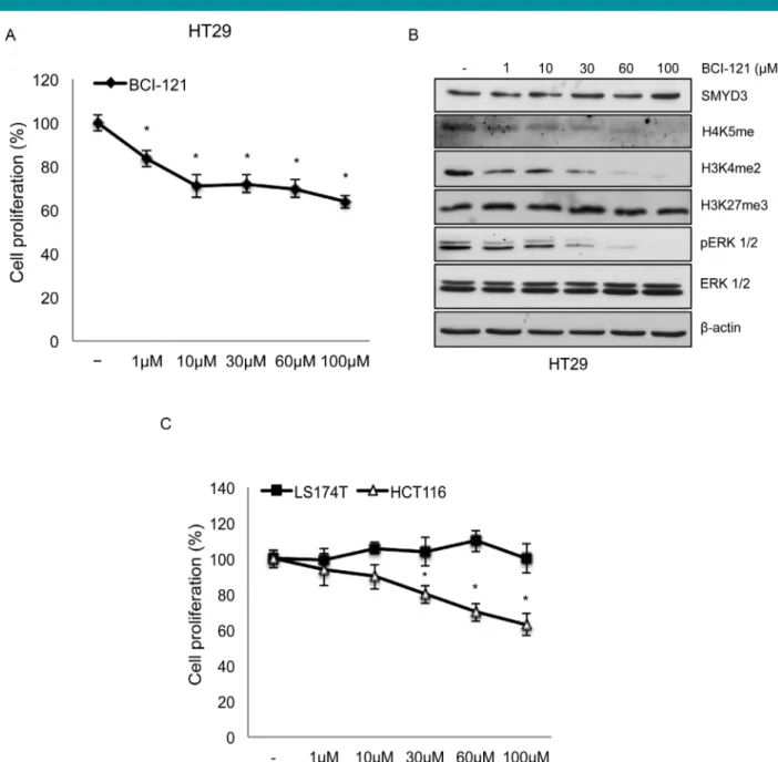 Fig. 10. Dose-dependence of BCI-121 treatment in CRC cell lines. (A) BCI-121 treatment for 48 h induces a concentration-dependent reduction of CRC cell proliferation and (B) decreases the global levels of targeted histone methyl marks [H4K5me, H3K4me2] and