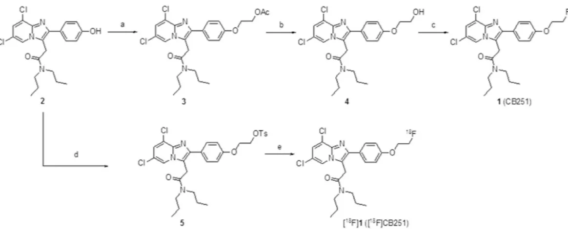 Figure 2.  Schematic synthesis of CB251 and [ 18 F]CB251. Reagents and conditions: (a) Ethyl 2-bromoacetate, 
