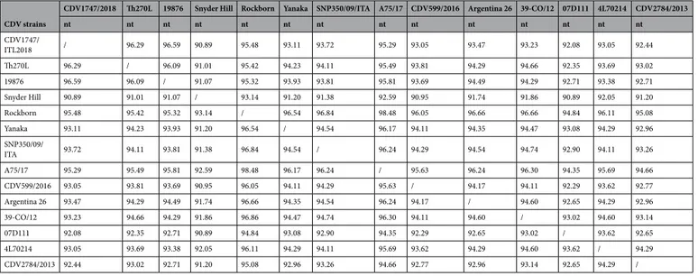 Table 1.  Nucleotide (nt) sequence identity (expressed as %) between the H protein gene sequence of CDV1747/ ITL2018 and representative strains belonging to existing CDV lineages.