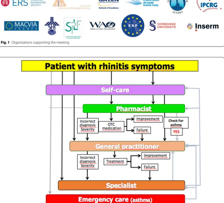 Fig. 2  ICPs for rhinitis and asthma multimorbidity (adapted from [ 102 ])