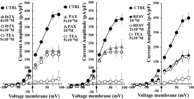 Figure  1.  Current-voltage  relationship  of  the  whole-cell  K +   current  recorded  in  SH-SY5Y  cells:  characterization  of  the  maximal  inhibitory  effect  of  the  application  of  the  Ca 2+ -activated  K +   (BK)  channel blockers paxilline (P