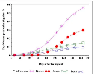 FIGURE 5 | Production of dry biomass and allocation in the different organs of a tomato plant.