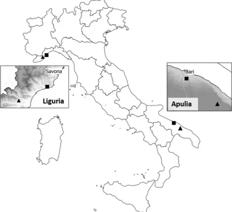 Figure 1.  Locations of the Italian olive groves surveyed for the presence of spittlebugs during the 2016–2018 