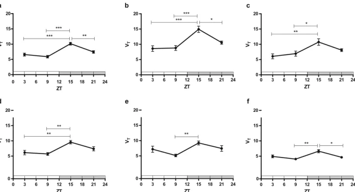 Fig. 3. Regional tracer distribution volumes (V T ) in the daily rhythm study calculated with one-tissue compartment model ﬁt (n = 6–8 per group)