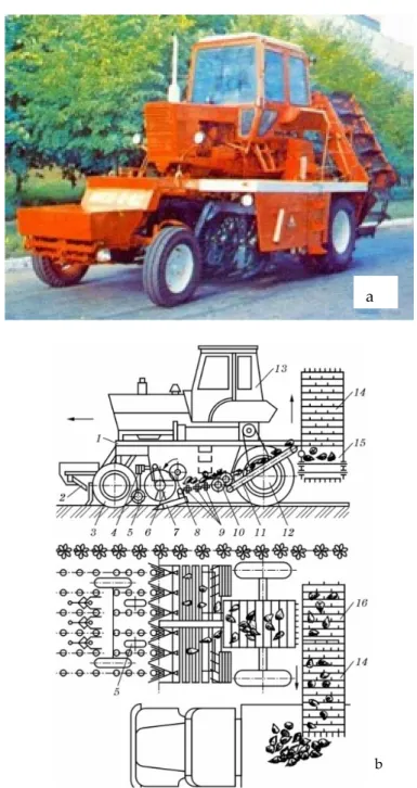 Figure 1. The self-propelled root harvesting machine. (a) view in the transport position; (b) working scheme: 1: frame, 2: driving machine in rows; 3: front steerable wheels; 4: digging section; 5: feeler wheels for digging sections; 6: root lifts; 7: exca