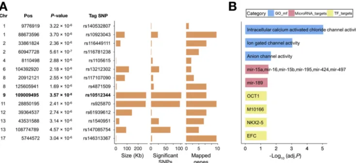 Table 3.Sex-Strati ﬁed Association Results for the Single Nucleotide Polymorphism rs10512344