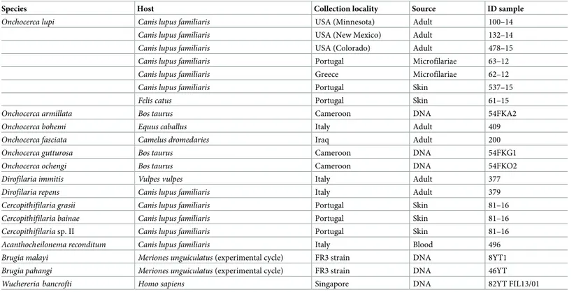 Table 1. Filarial nematodes used to assess the analytical specificity of the qPCR assay.