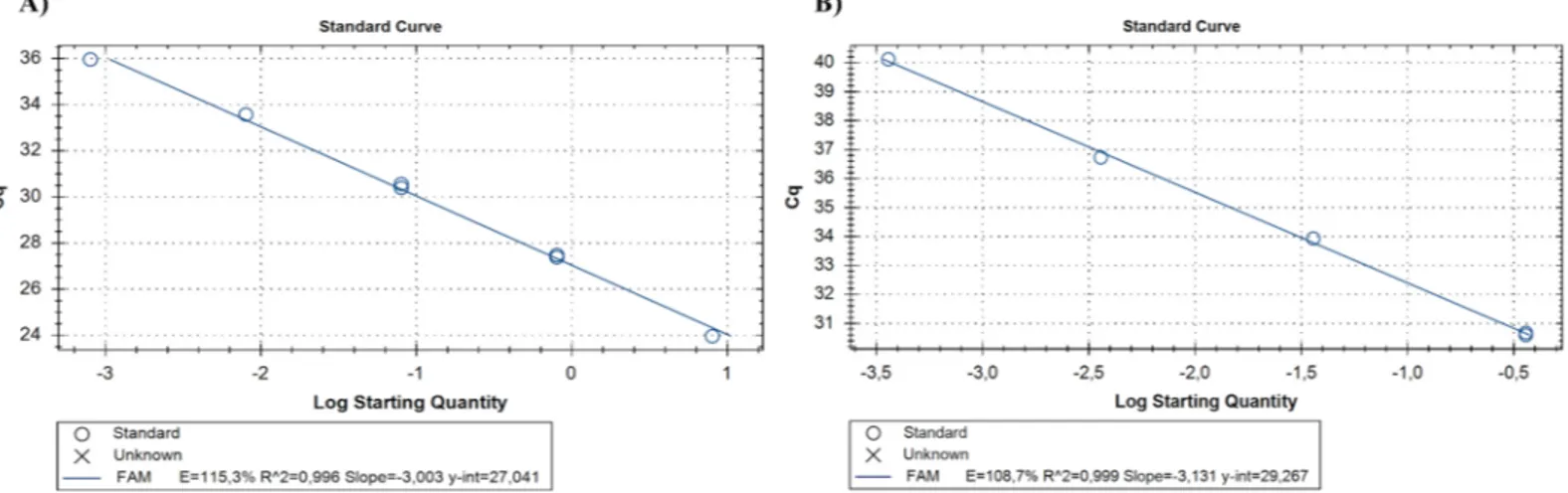 Fig 3. Detection limit of the conventional PCR assay determined by 10-fold serial dilution of genomic DNA of microfilariae and adult of Onchocerca lupi