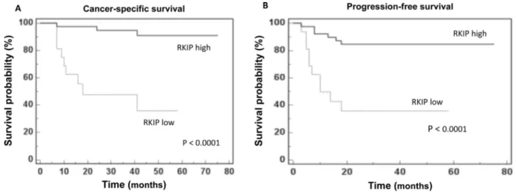 Figure 5: RKIP prognostic value.  Kaplan-Meier survival curves for  (A) Cancer-specific survival (CSS) and (B) Progression free  survival (PFS) as calculated by an optimal cut-off value of 10 ng/mg/g Pr/UCr.