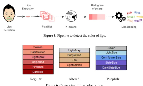Figure 6. Categories for the color of lips. 2.3. Risk Assessment by Fuzzy Rules