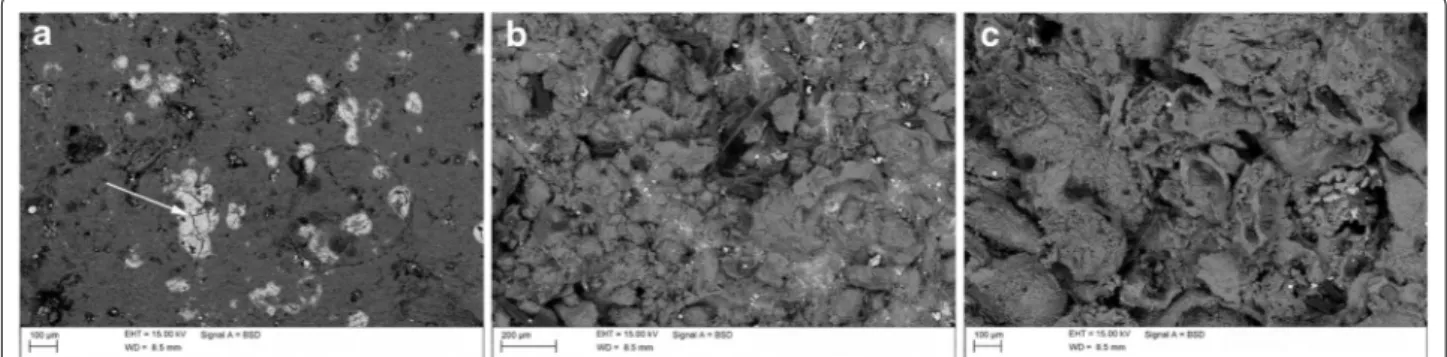 Fig. 1  SEM-EDS analyses of stone samples treated with Estel1000/ZnO-NPs (0.5 % w/w). a Calcare di Altamura; b Calcarenite di Gravina from Mas-