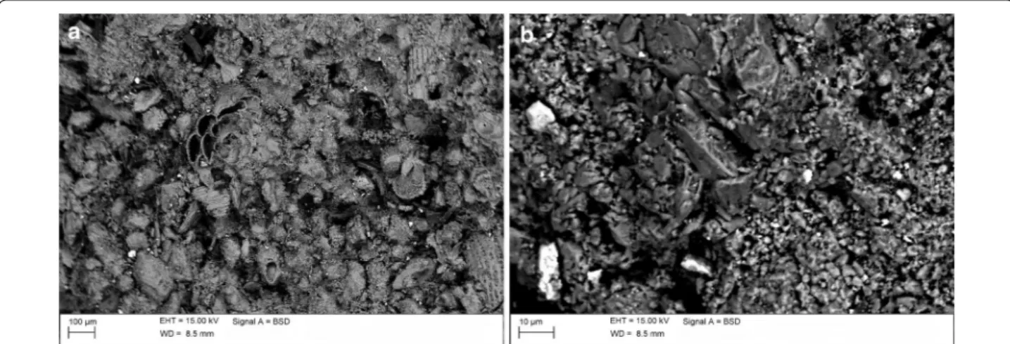 Fig. 3  SEM-EDS analyses of a Calcarenite di Gravina from Massafra stone sample treated with Silo111/ZnO-NPs (0.5 % w/w); b detail