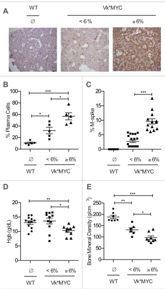 Figure 2. Both M-spike and BM plasma cells increase during  dis-ease progression in Vk*MYC mice