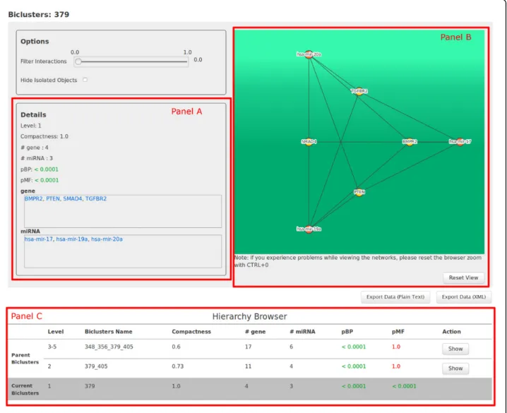 Figure 4 MGRN details in ComiRNet. Details of the bicluster × obtained by searching for the MGRNs involving the gene SMAD4 in the first level of the hierarchy 15 ( a = 0.5, b = 0.5), applying filters on the minimum compactness (0.3) and on the maximum p BP