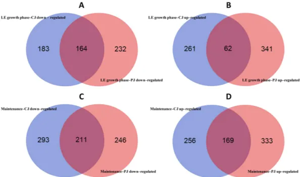 Figure 2.  Principal Coordinate Analysis (PCoA) based on transcriptional patterns of Lactobacillus 