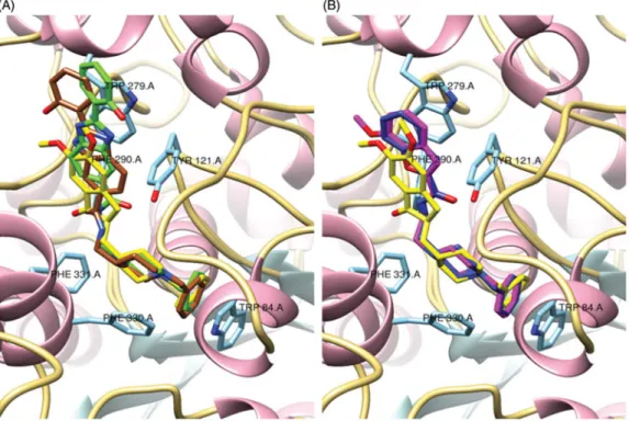 Figure 2. Superposition of a selection of ligands in study and the original ligand (DNP), from PDB code 1EVE, inside the TcAChE active site: (a) DNP (yellow), com- com-pound 1 (brown), comcom-pound 2 (green); (b) DNP (yellow), comcom-pound 5 (blue), comcom