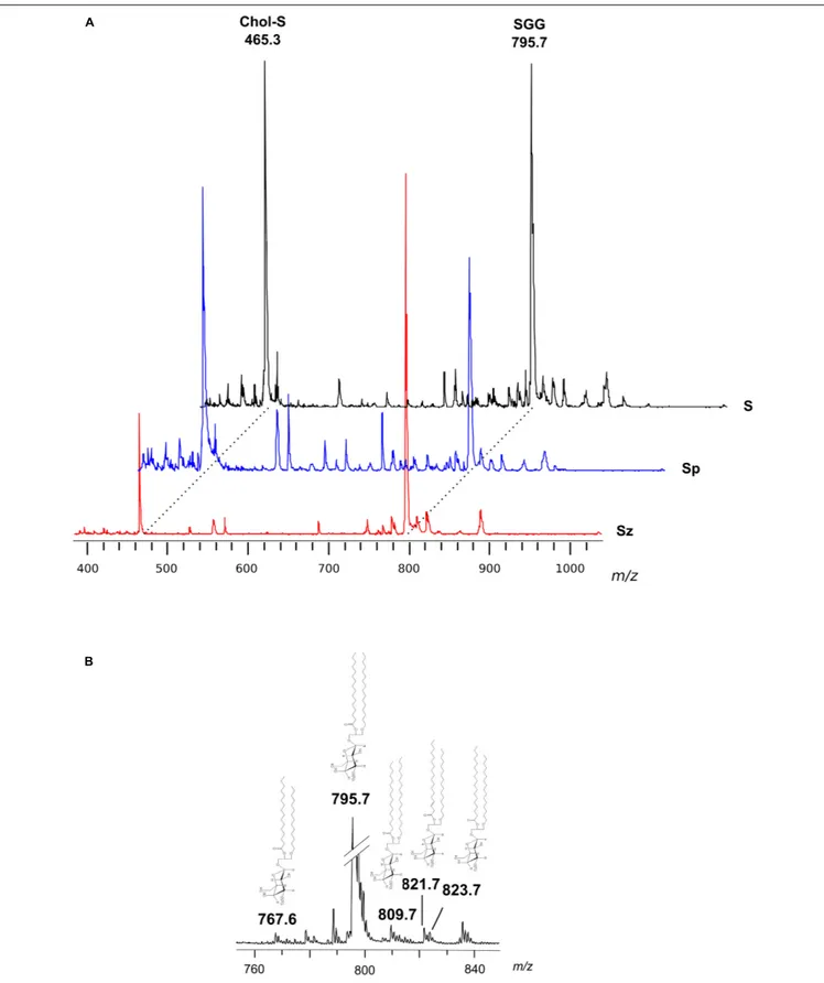 FIGURE 2 | Negative ion mode MALDI-TOF/MS analyses of the lipid extracts of semen, seminal plasma and spermatozoa