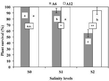 Figure 1. Plant survival (%) in response to different salinity levels (S0, S1, and S2) of two accessions  of  mastic  tree A6  (Manfredonia)  and  A12  (Specchia).  a–c:  the  letters  denote  statistically  significant  differences among salinity levels f