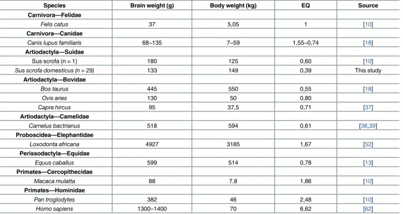 Table 5. Brain mass, body weight and EQ of chosen mammals.