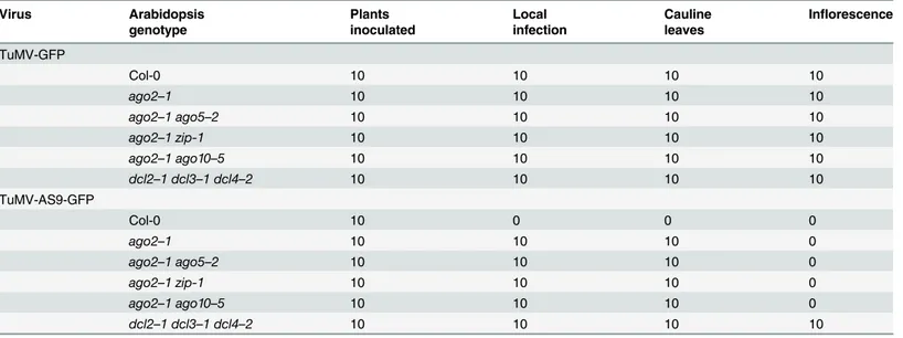 Table 2. TuMV-GFP and TuMV-AS9-GFP infection in selected ago2 –1 based double mutants a .