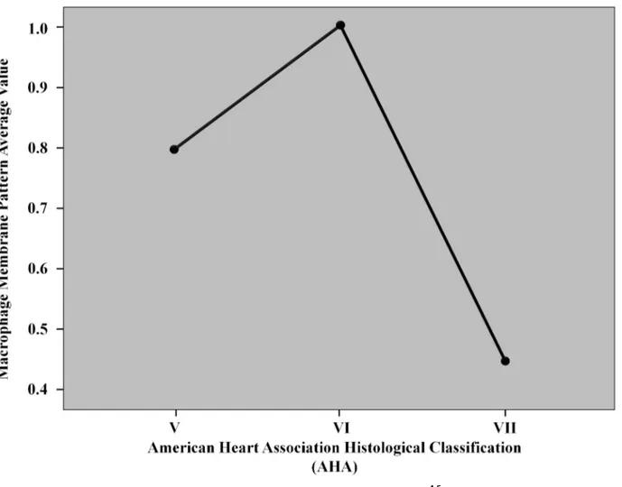 Fig 1. The graph illustrates the correlation between the histological classification (AHA 4-5 ) and the expression of