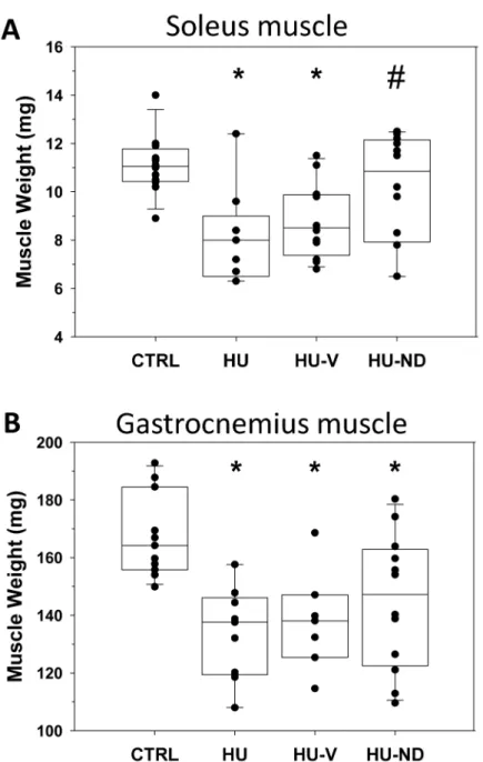 Fig 1. Effects of Nandrolone (ND) treatment on muscle weight of HU mice. (A) Box and whisker chart created on the basis of single Soleus muscle weight (circles) of 12 control mice (CTRL), 9 hindlimb unloaded (HU) mice, 12 vehicle-treated hindlimb unloaded 