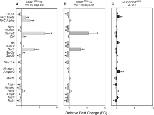 Figure 1.  Gene expression changes in SOD1 G93A  and MLC/SOD1 G93A  mice. mRNA levels of target genes in 
