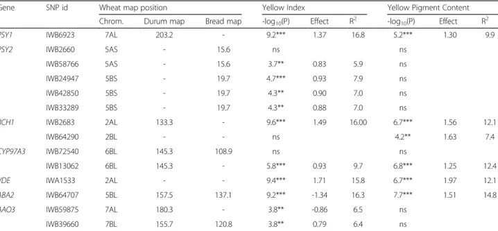 Table 4 Regression analysis between carotenoid genes and yellow index and yellow pigment content in a tetraploid wheat collection evaluated in six and two environments, respectively