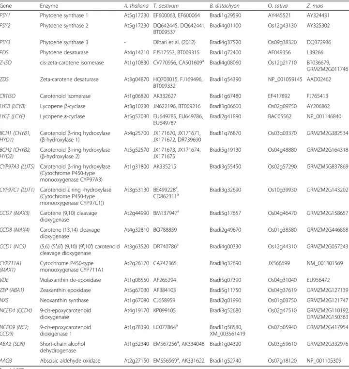 Table 1 Genebank entries of the carotenoid metabolic/catabolic pathways genes of Arabidopsis thaliana, Triticum aestivum, Brachypodium distachyon, Oryza sativa and Zea mays