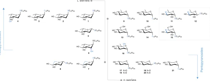 Fig. 1 Lead series generated by chemical synthesis. Glycones differ in the deoxygenation pattern (2-deoxy, 4-deoxy, 6-deoxy, 2,6-dideoxy and 4,6- 4,6-dideoxy), D - and L -con ﬁguration, anomeric conﬁguration, and atom linkage to the dodecyl chain (details 