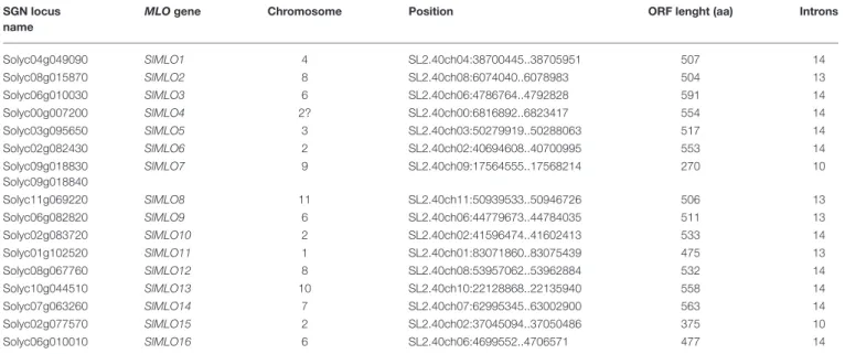 TABLE 1 | Features of the SlMLO gene family as inferred by the Sol Genomics Network Database.