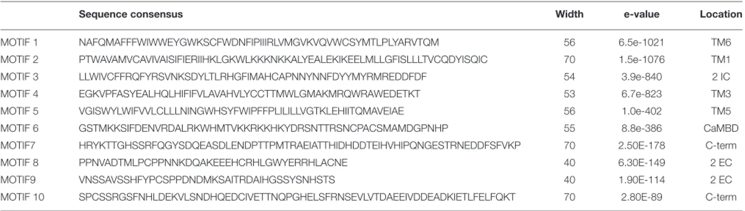 TABLE 3B | Features details of the consensus motifs reported in Table 3A as predicted by the MEME software package (http://meme-suite.org/tools/meme).