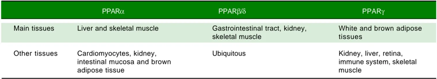 Table 1. Tissue expression of peroxisome proliferator-activated receptor (PPAR) isoforms
