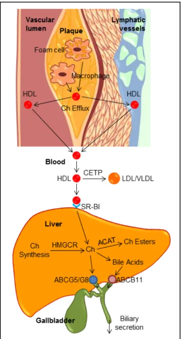 Figure 5. Figure 5. Figure 5. 