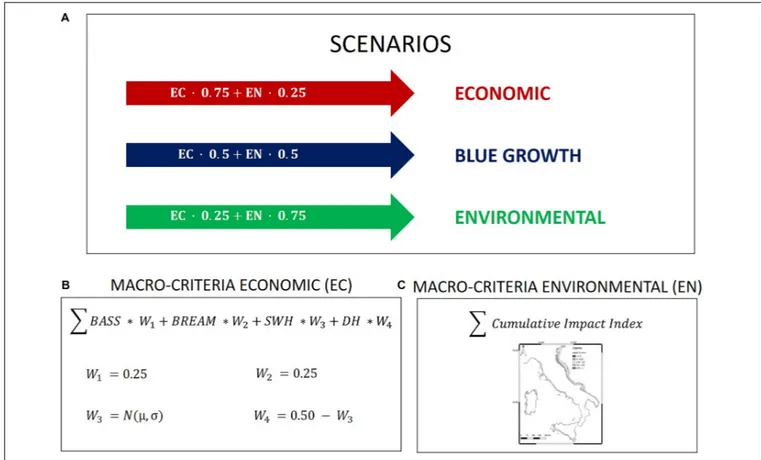 FIGURE 2 | Framework adopted for the scenario analyses. (A) Scenarios, weights assigned to the economic (W 1 ) and environmental (W 2 ) macro-criteria combined