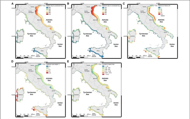FIGURE 6 | Maps of criteria considered in the analyses. (A) Days required by seabass to reach the commercial size
