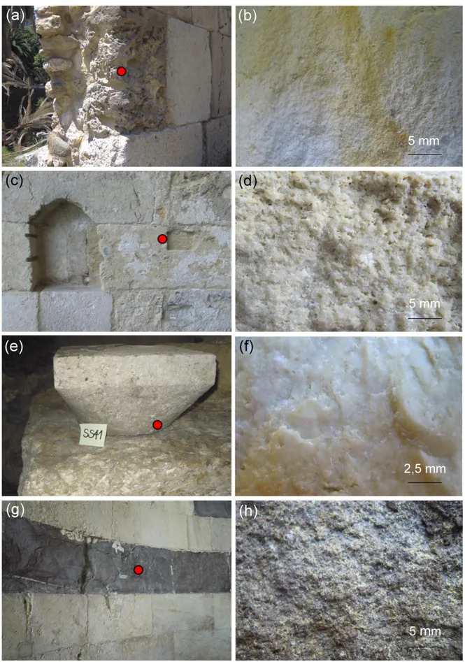 Figure 7. Sampling points of stones (on the left column) with macroscopic features (on the right column): (a,b) “Pietra  cantone”, sample SS91, (c,d) “Tramezzario”, sample SS85, (e,f) “Pietra forte”, SS41, (g,h) sample SS52.