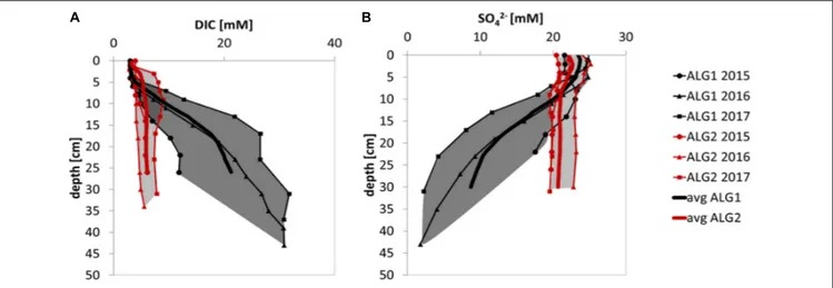 FIGURE 9 | Inter-annual consistency of the sets of data collected at the two CS stations: (A) DIC profiles at ALG1 and ALG2; (B) SO4 2 − profiles at ALG1 and ALG2.