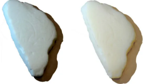 Figure 4. (left) Replica in Nylon PA 12; (right) replica in glass-filled nylon.