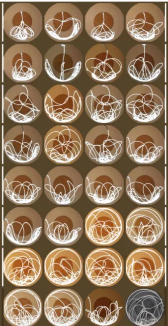 Fig. 1. Rilievo delle traiettorie del doppio pendolo con fotografie a lunga  esposizione (elaborazione grafica di E