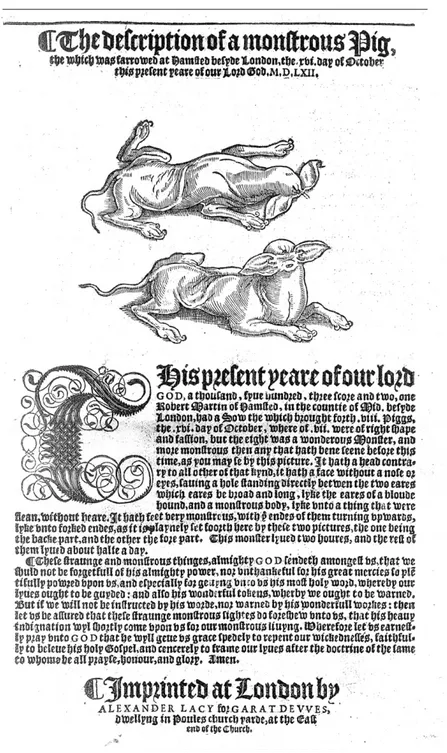 Figure 4 Anonymous, The Description of a Monstrous Pig, the which Was Farrowed at Hamsted Besyde London