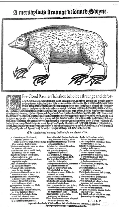 Figure 5 I.P., A Meruaylous Straunge Deformed Swyne. London, William How, [1570?].   © The British Library Board, London, Shelfmark Huth 50[42]