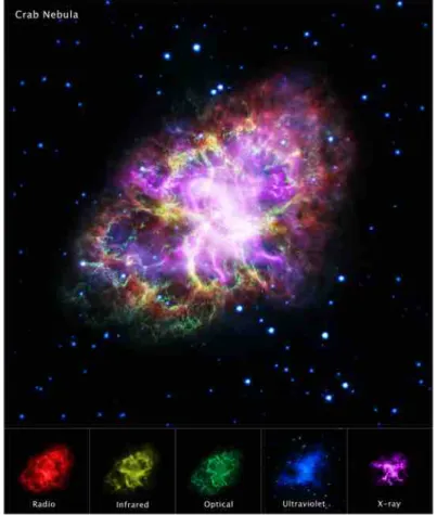 Figure 1.10. Crab Nebula by five observatories: VLA/NRAO/AUI/NSF, Chandra/CXC,